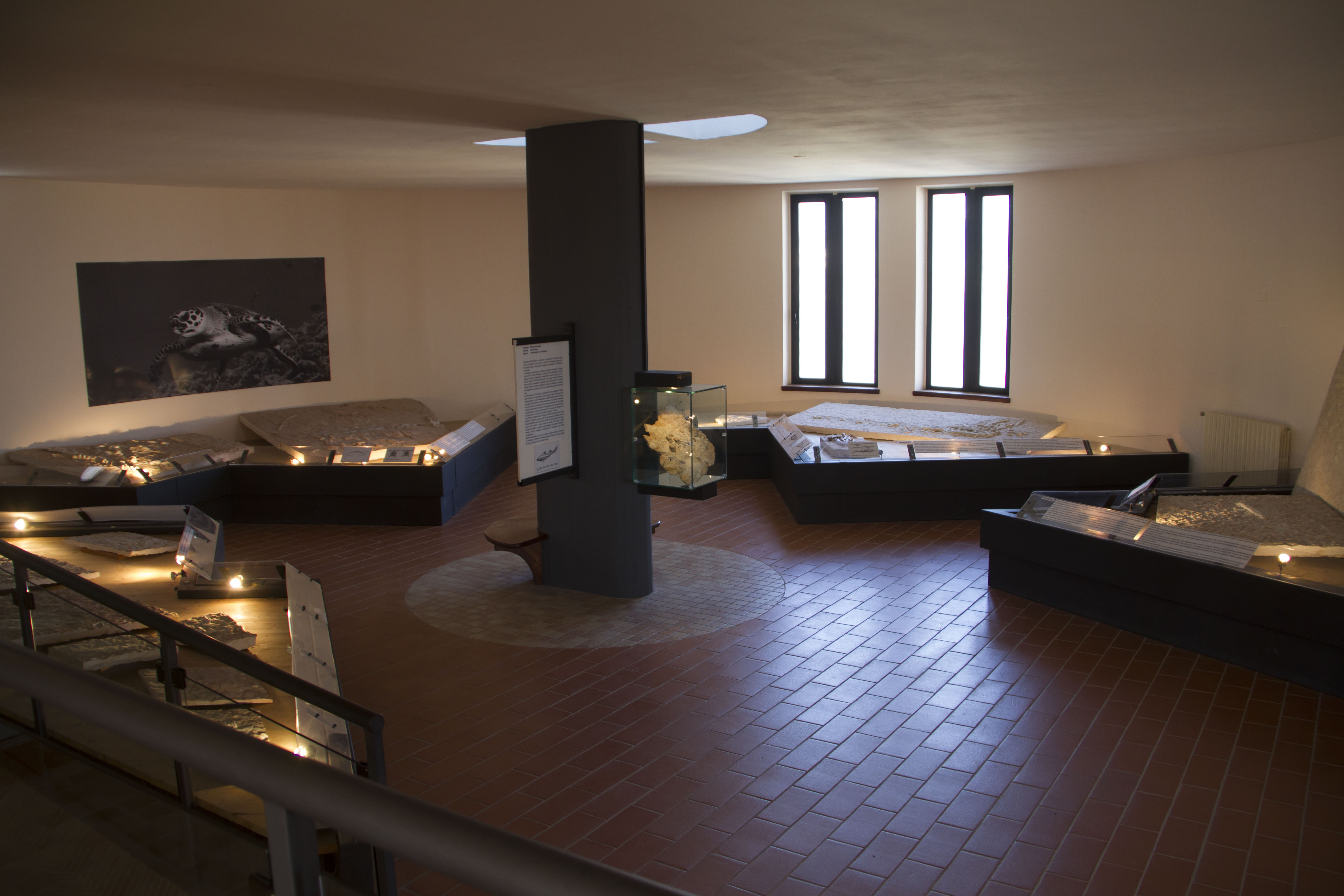 Veduta della sala paleontologica del museo